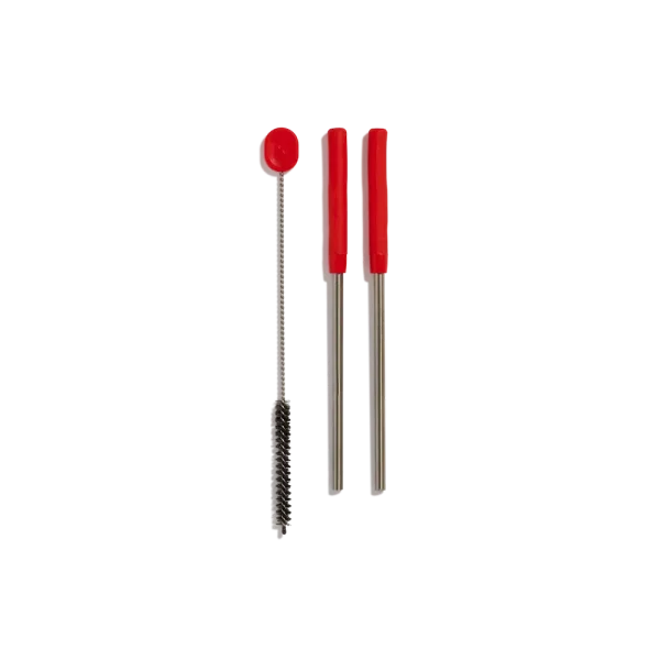 Stainless Steel Straw Set