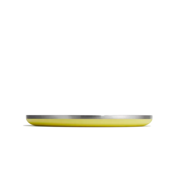 10 in Plate - Image 2
